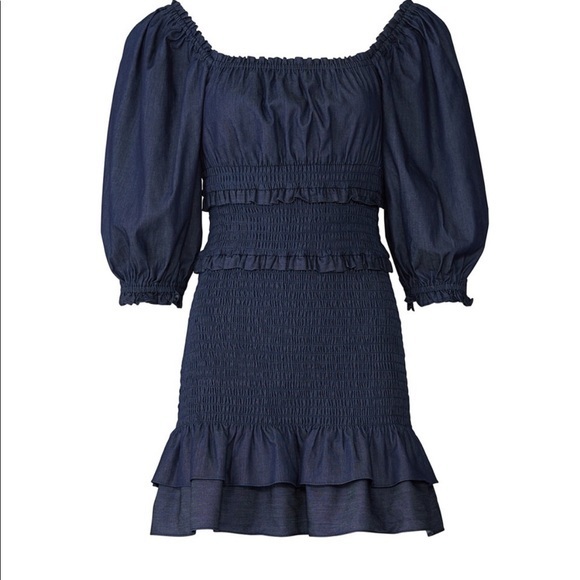 Parker Dresses & Skirts - Parker Denim Rouched Antoinette mini Dress